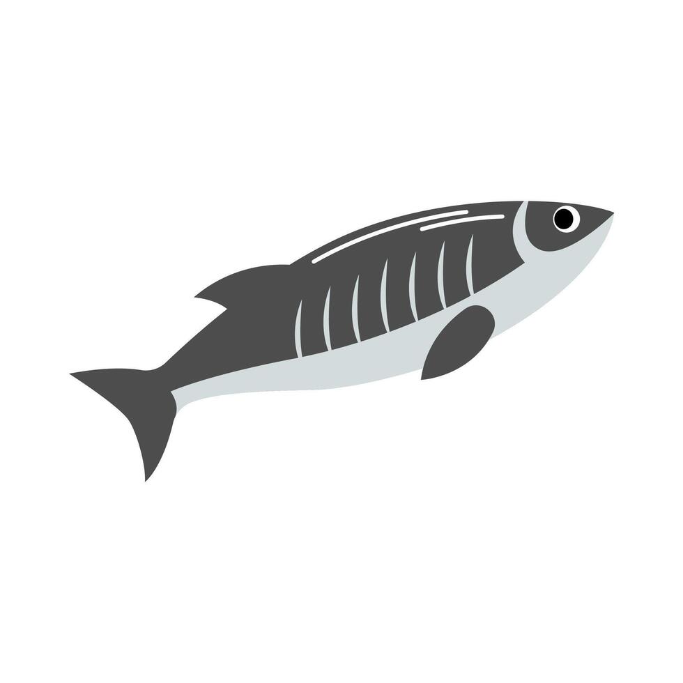 Fresh Fish Illustration vector