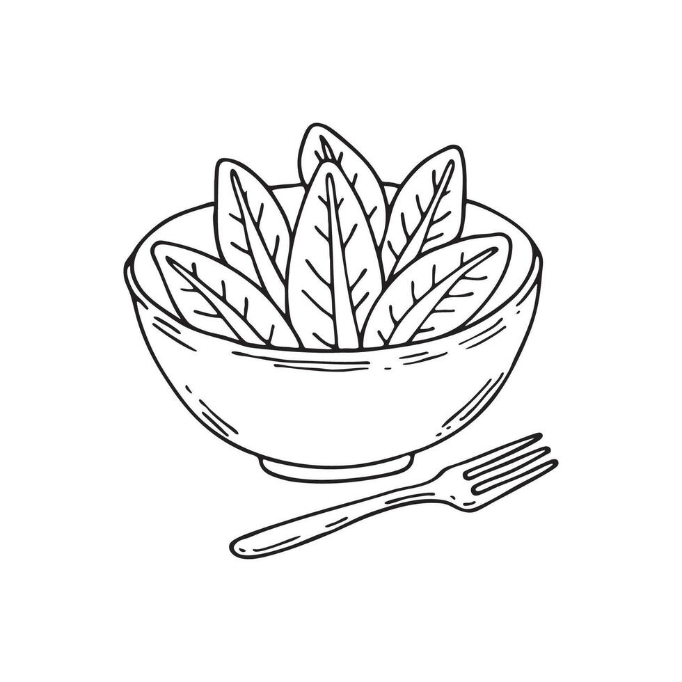 Endive leaves placed in a salad bowl with a fork next to it vector