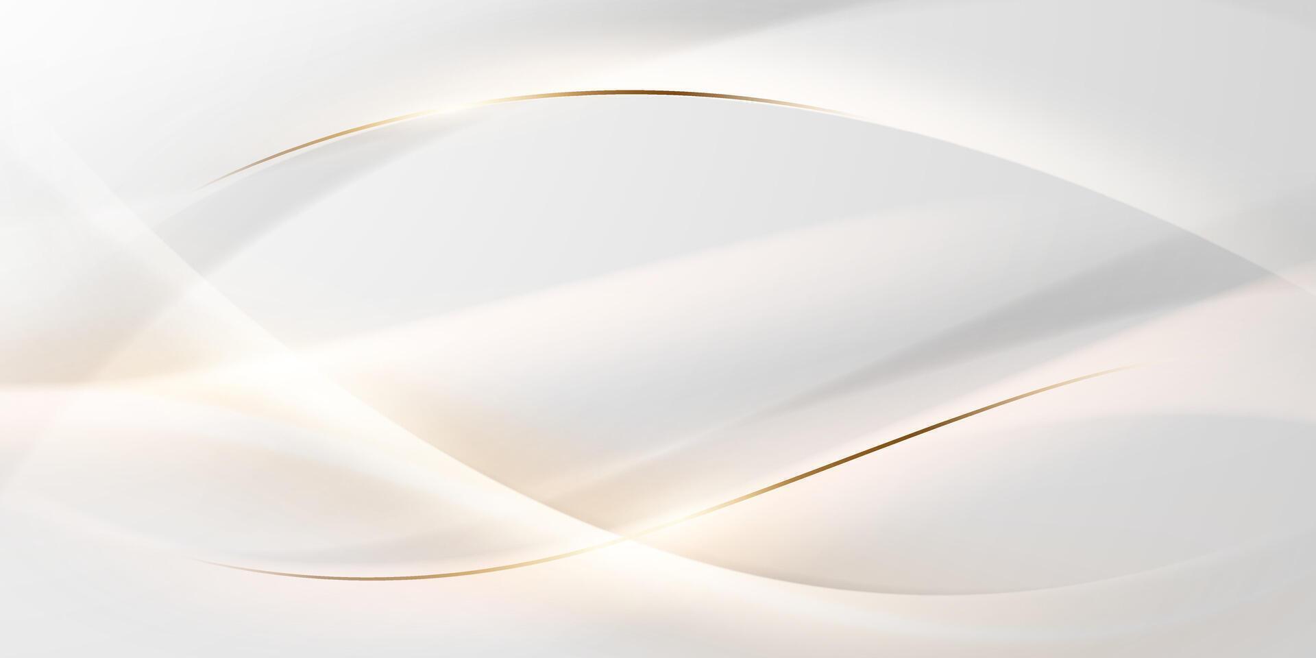 white abstract background with luxury golden lines illustration vector