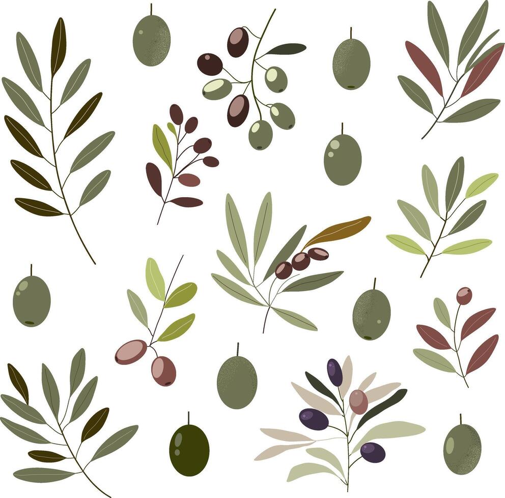Set of hand drawn collection of olive branches and olives. features a collection of leaves and olives, for botanical, natural, and rustic-themed projects. For packaging, textile, or digital design. vector