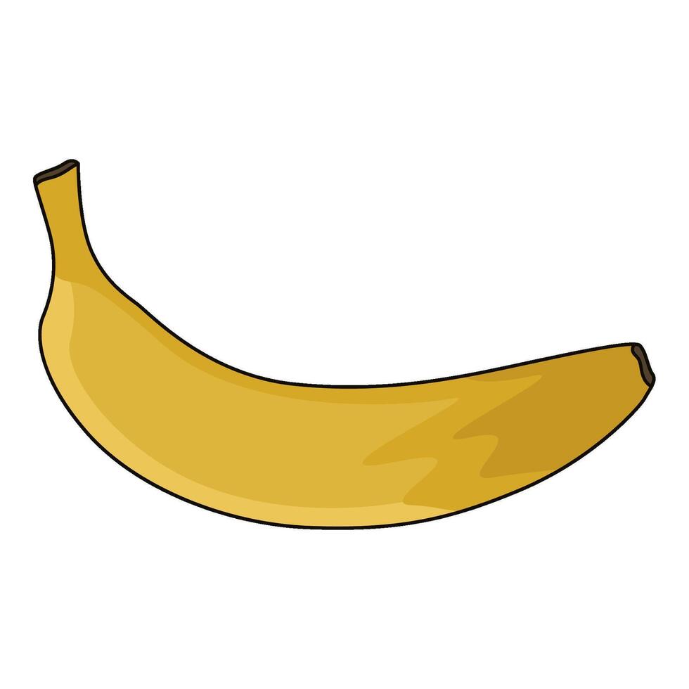 illustration of Banana vector