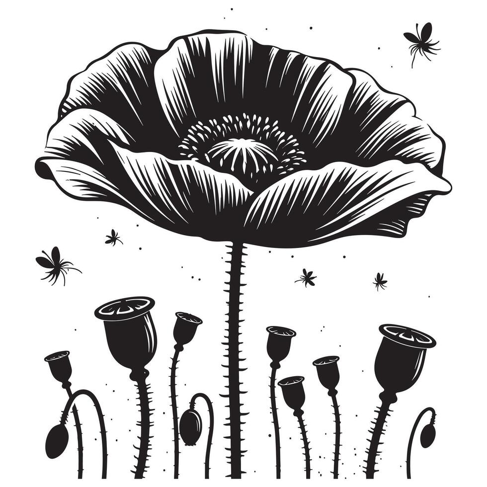 Black Silhouette of Poppie Flower Minimalist Design on White Background vector