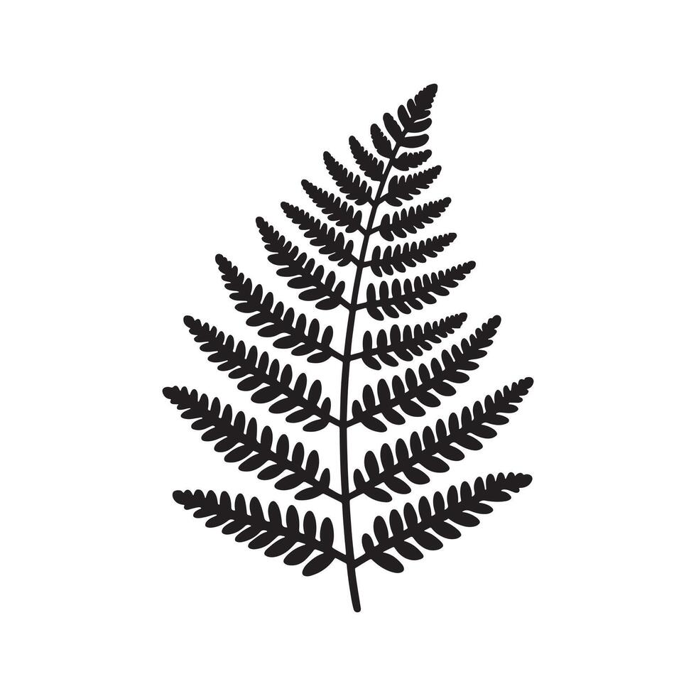 Minimalist Black Silhouette of Fern on White Background vector