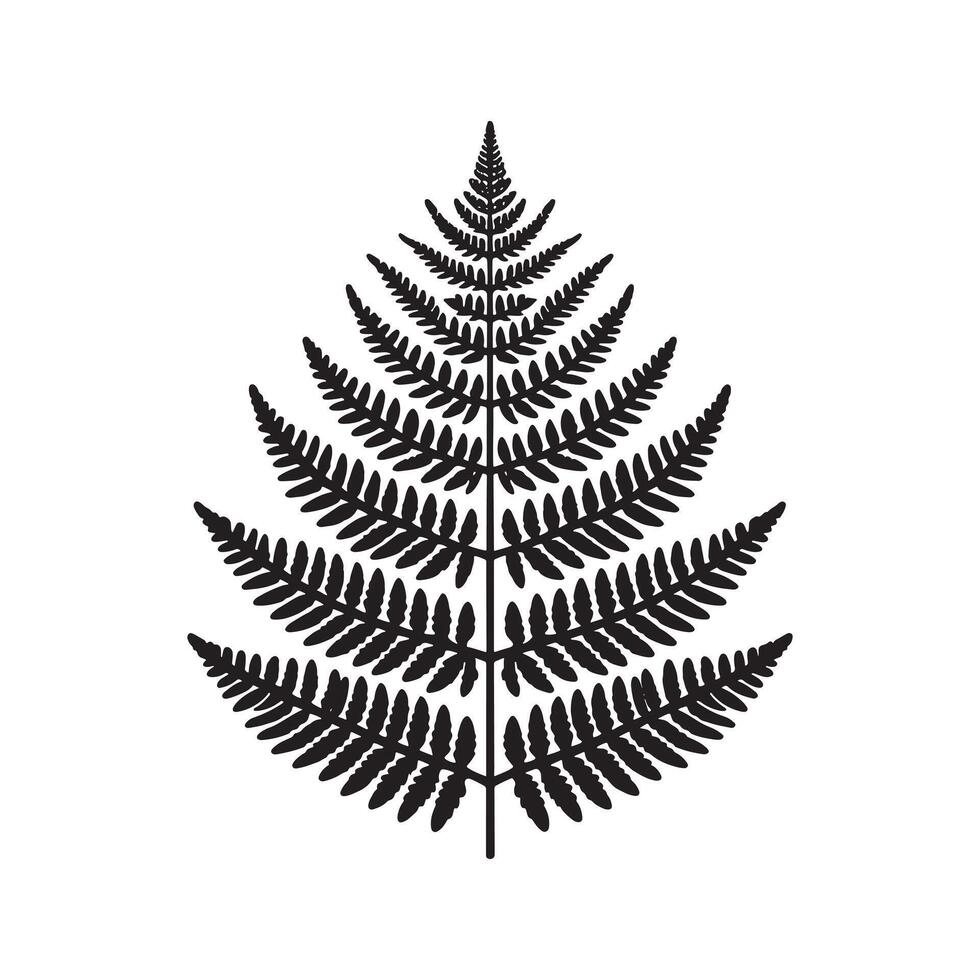 Minimalist Black Silhouette Design of Fern Foliage on White Background vector