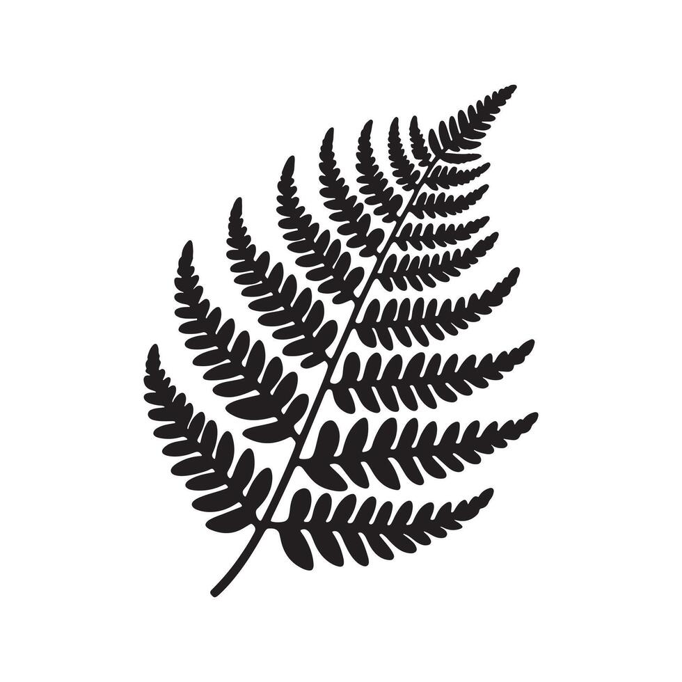 Black Silhouette of Fern on White Background Minimalist Design vector
