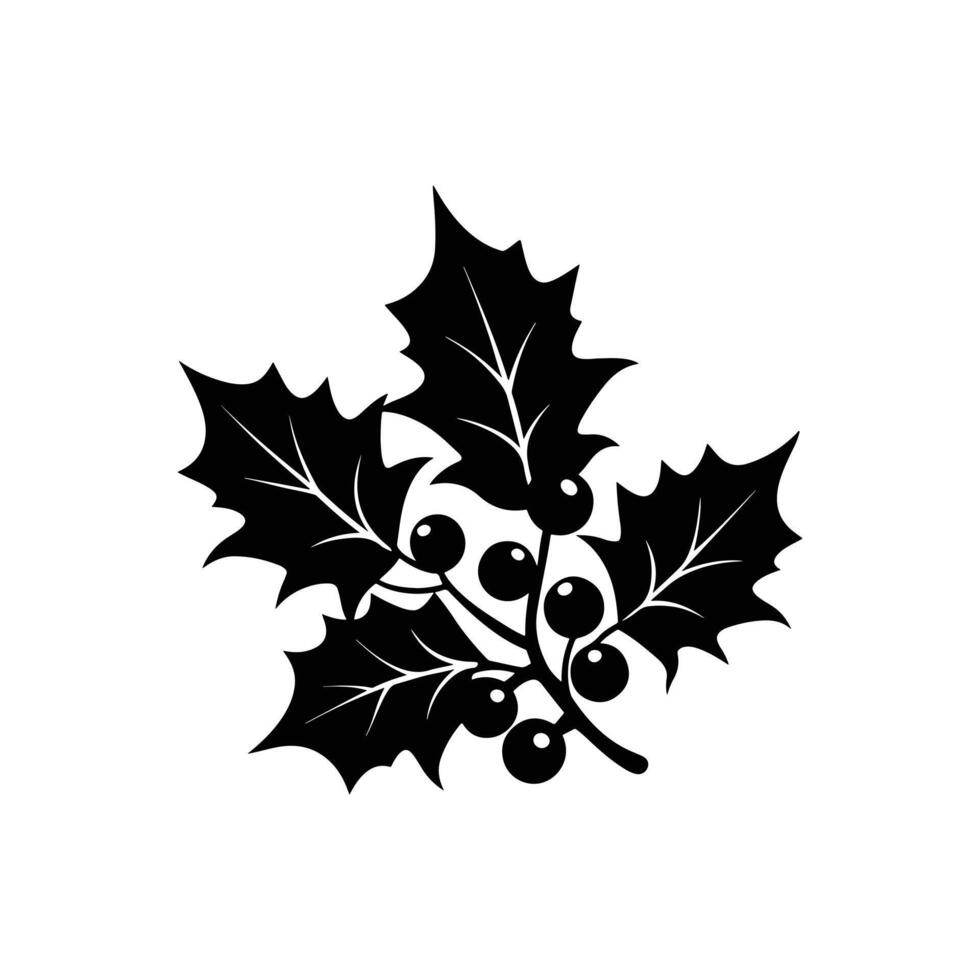 Holly Sprig with Detailed Veins and Shiny Round Berries vector