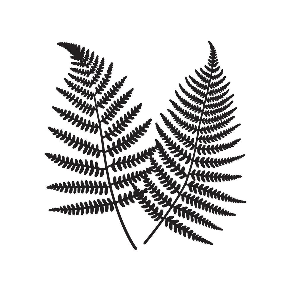 Black Silhouette of Fern Foliage Minimalist Artwork on White Background vector