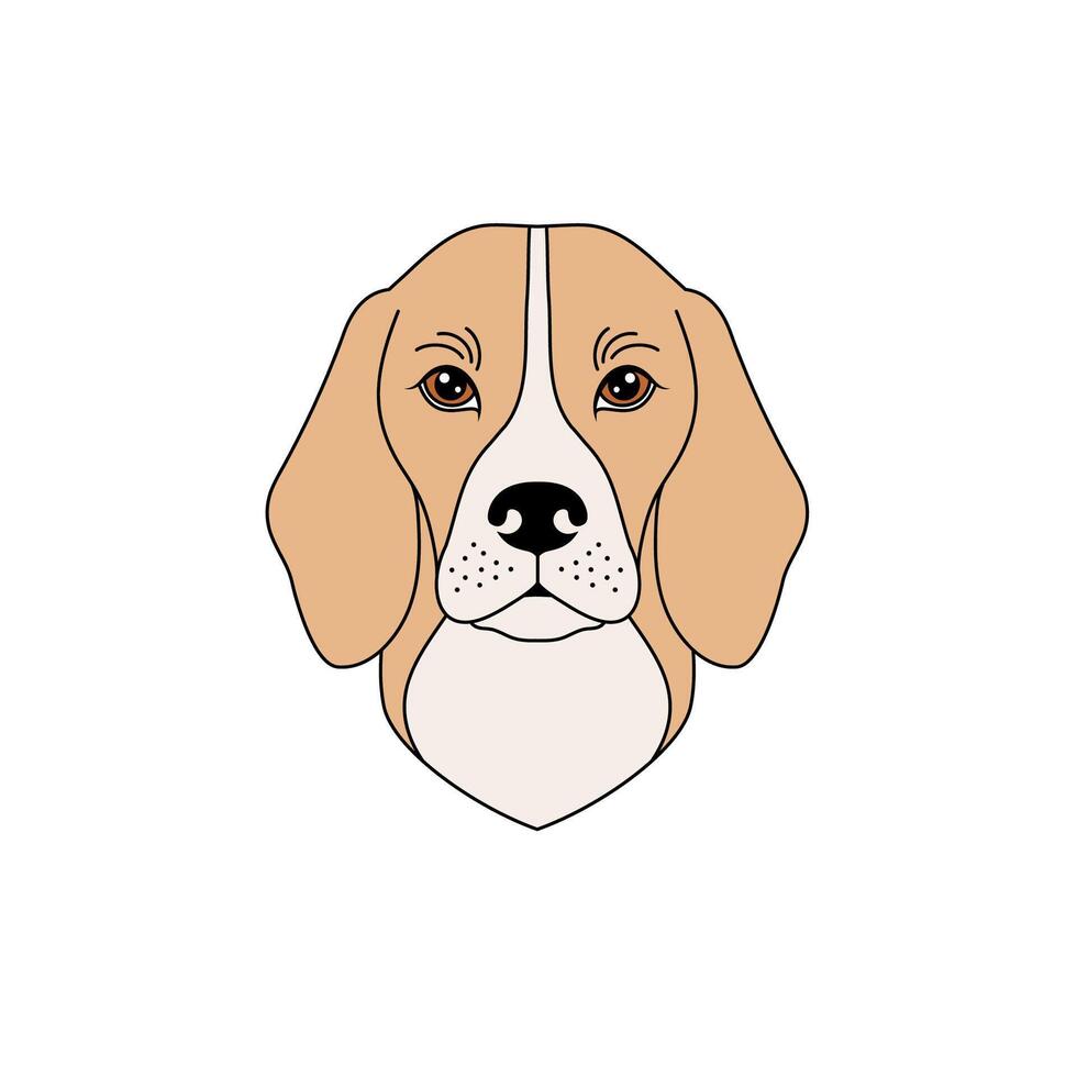 Beagle dog muzzle in linear flat style on white background. vector