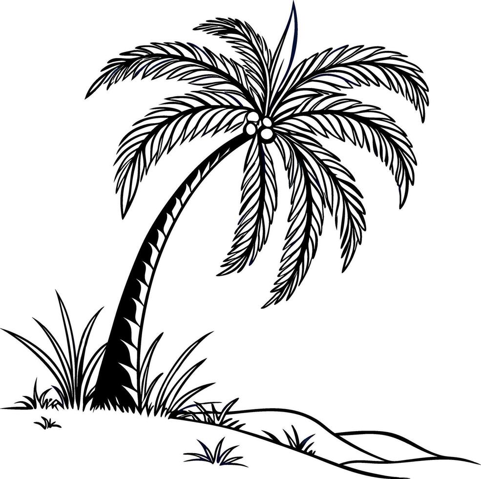 palm tree on the beach vector
