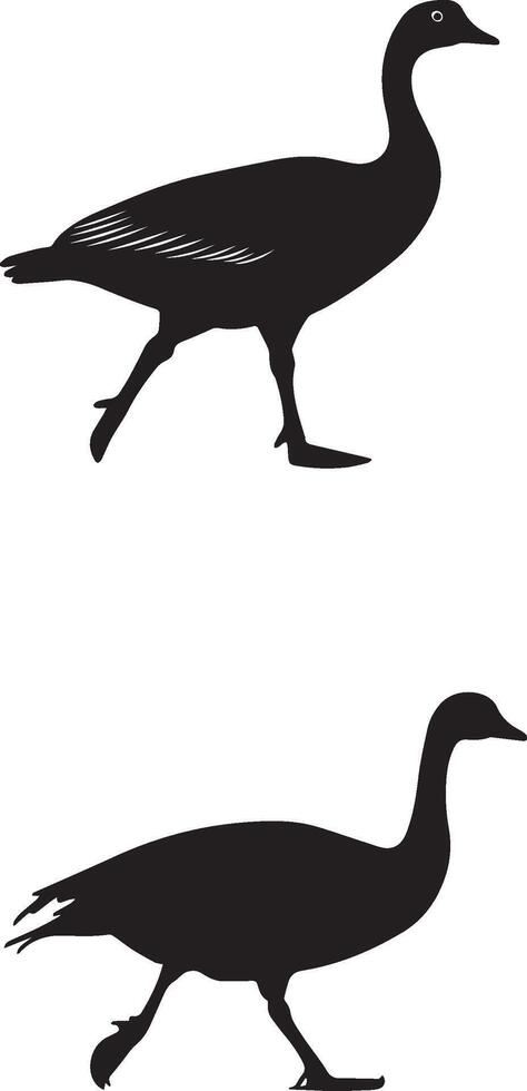 Set of Duck Black Silhouette vector