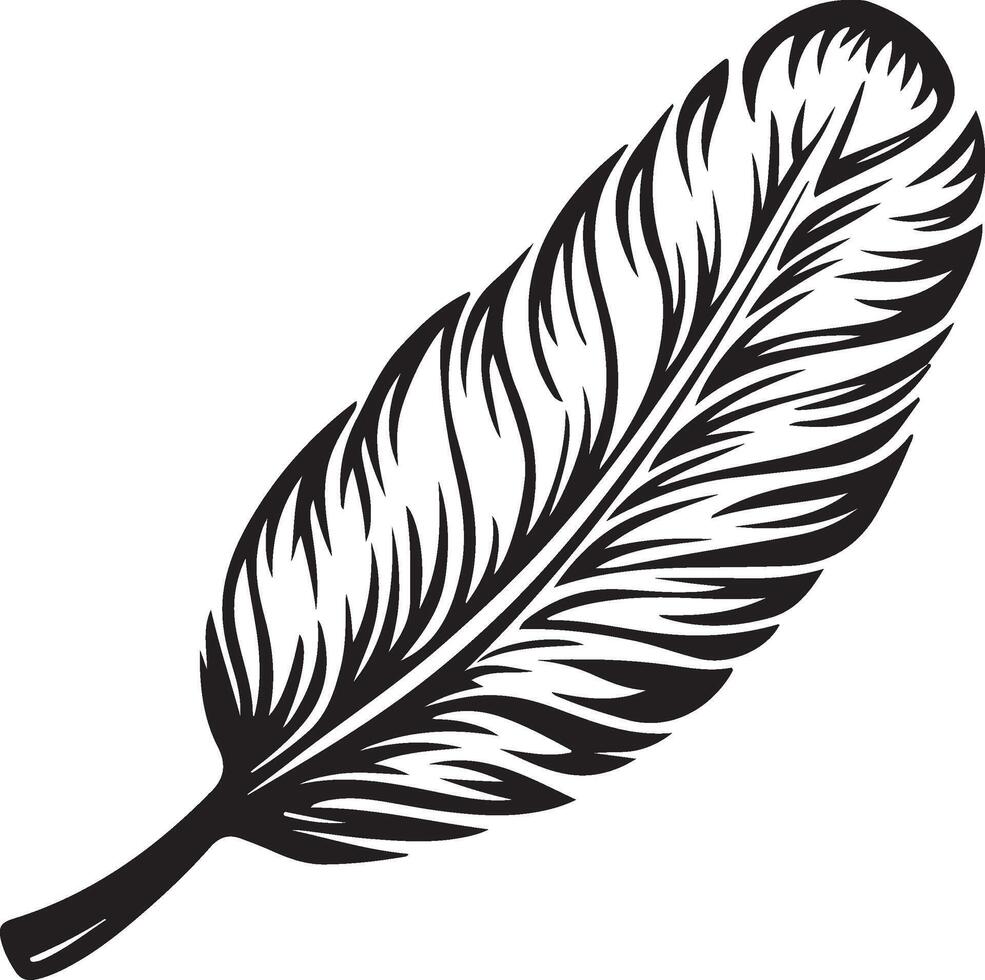 a black and white feather on a white background vector