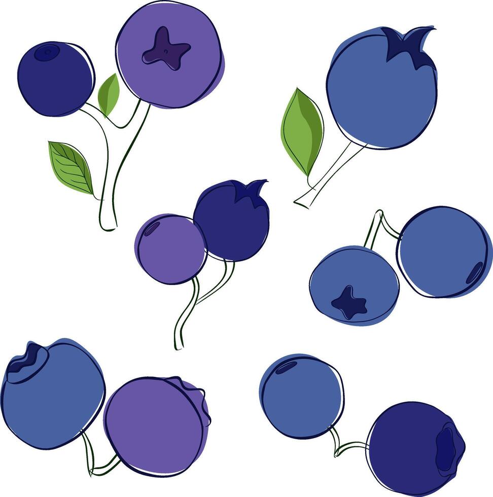 Graphic outline illustration set of two blueberries isolated on white transparent background. Various blueberry bunches. vector