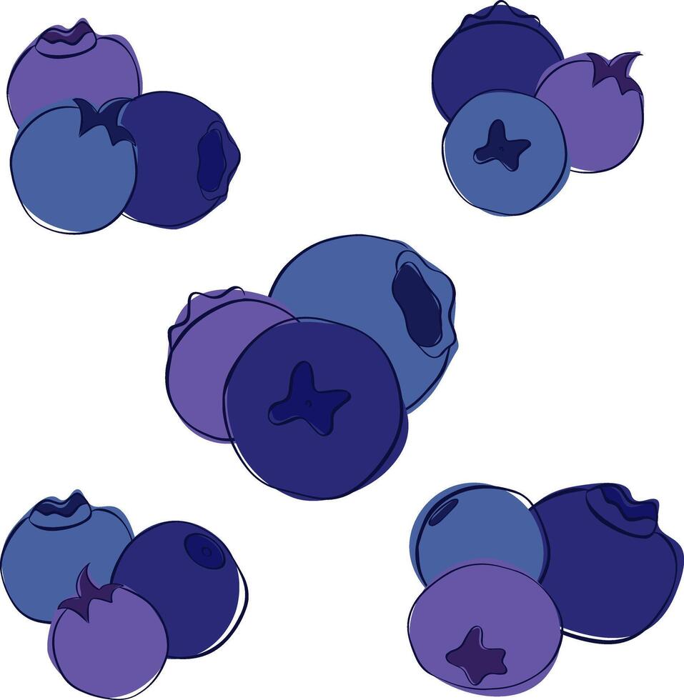 Blueberry big set composition graphic outline style. illustration isolated on white transparent background with three berries vector