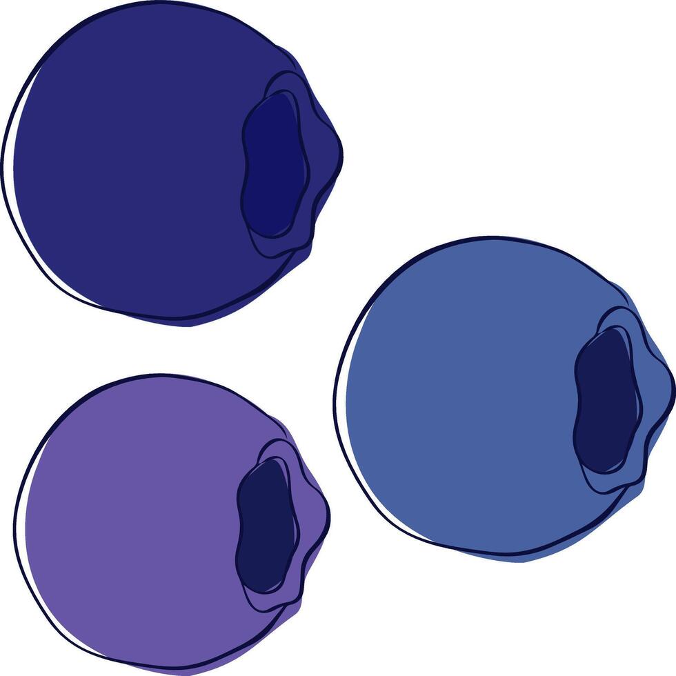 Graphic line blueberry set, three colored berries, isolated illustration on transparent background vector