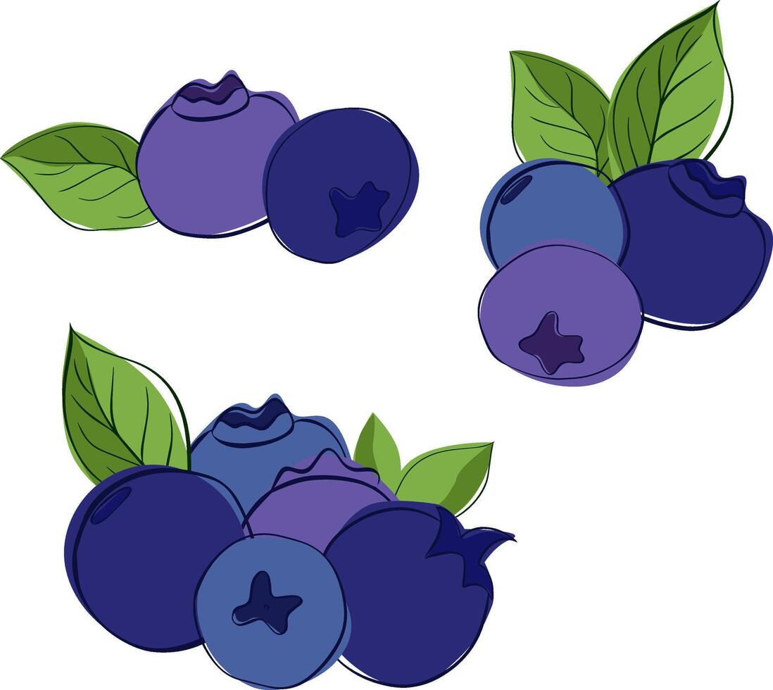 illustration of fresh blueberry with leaves. Graphic line style set of berries Sweet fruit in blue color cartoon style isolated on white transparent background vector
