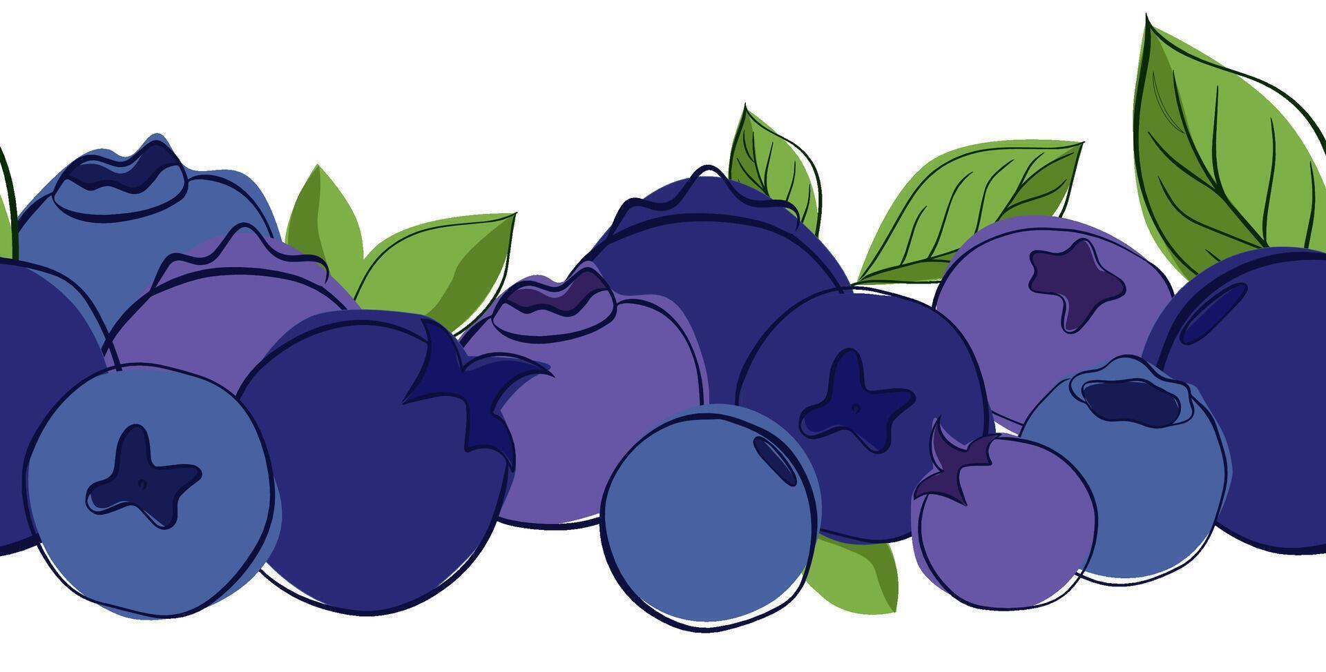Outline graphic natural seamless border with blueberries and leaves. horizontal template vector