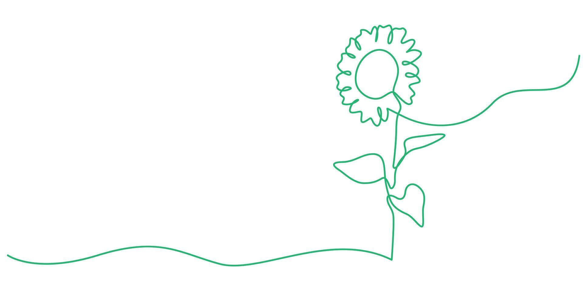 continuous one simple single abstract line drawing of sun flower isolated vector