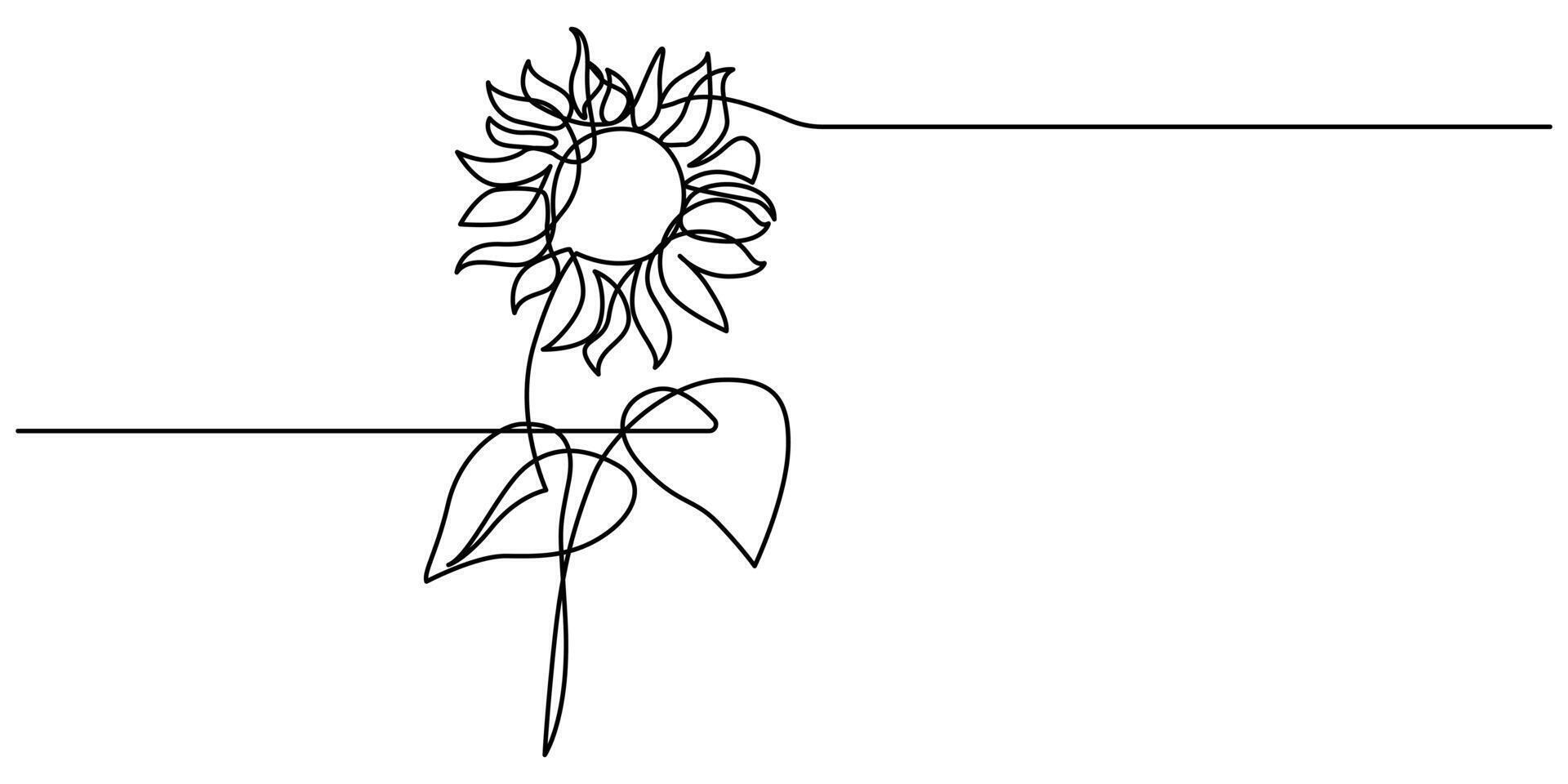 flower line drawing print one line drawing sunflowers vector