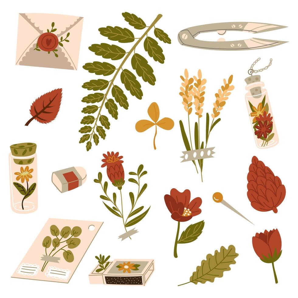 set of illustrations of autumn foliage, flowers, jars, boxes for the herbarium made in a flat style. Dried leaves, flowers in boxes, on paper, in a jar on white. Herbarium, dry flowers, scrapbooking vector