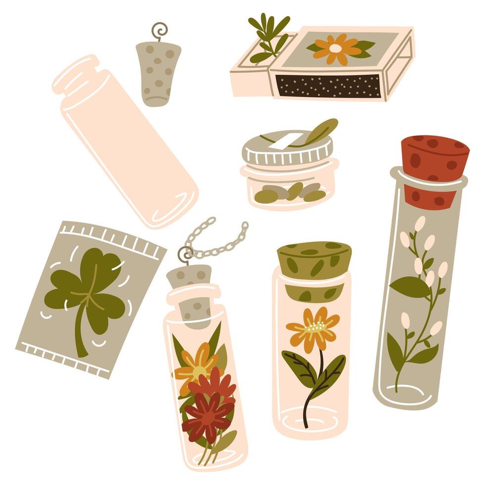set of glass containers with branches, seeds, flowers inside. Home floristry for memory. Small jars with a lid for storing memorabilia. Terrarium for plants, herbarium, dry flowers. illustration vector