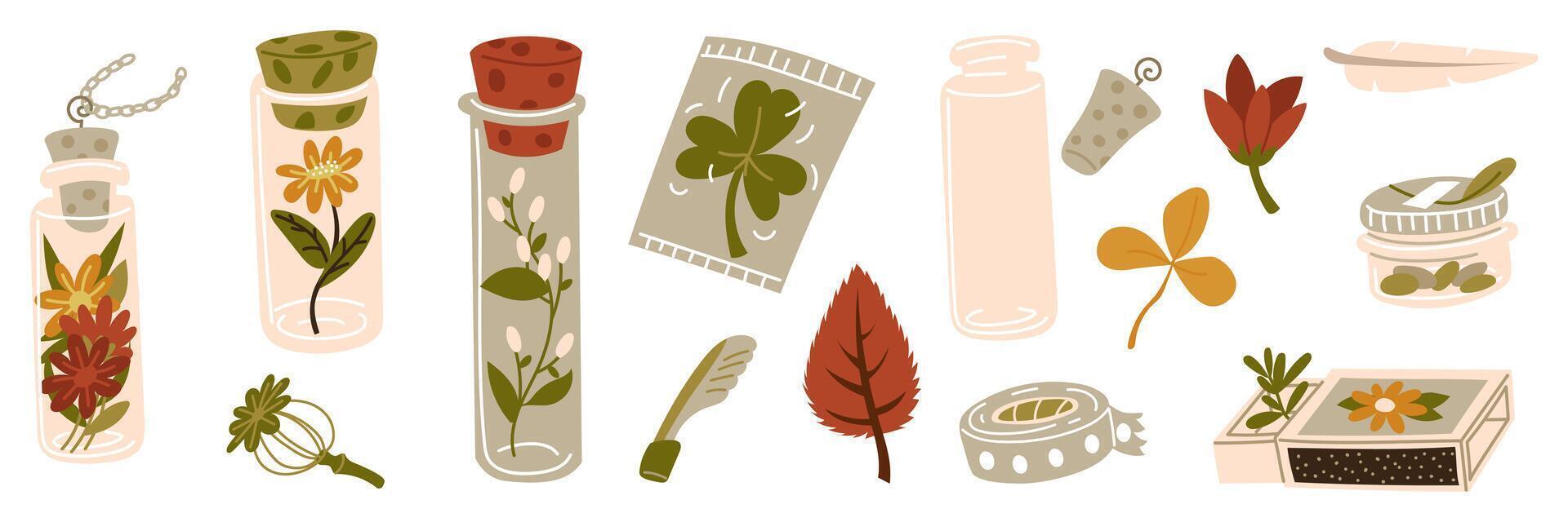Various containers with branches, twigs, seeds inside. Home floristry for memory. A small jar, a box for storing memorabilia. Terrarium for plants, herbarium, dry flowers. illustration vector