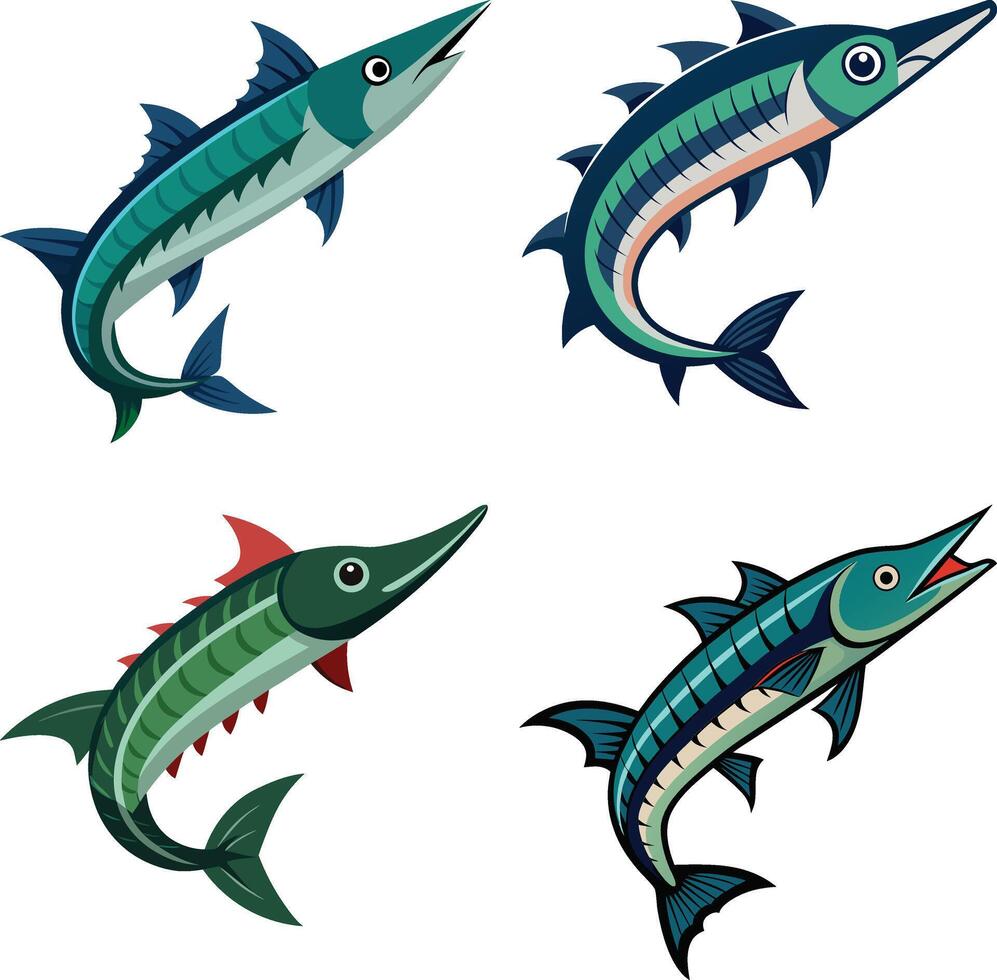 Illustration of Barracuda vector