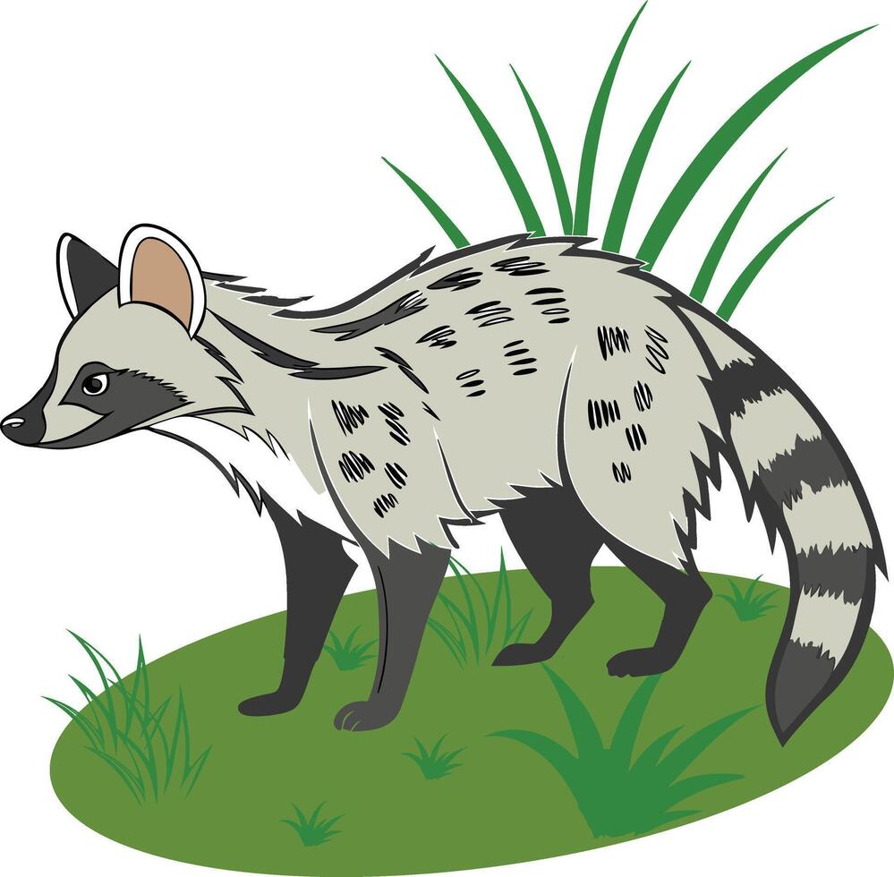 Common palm civet art illustration vector