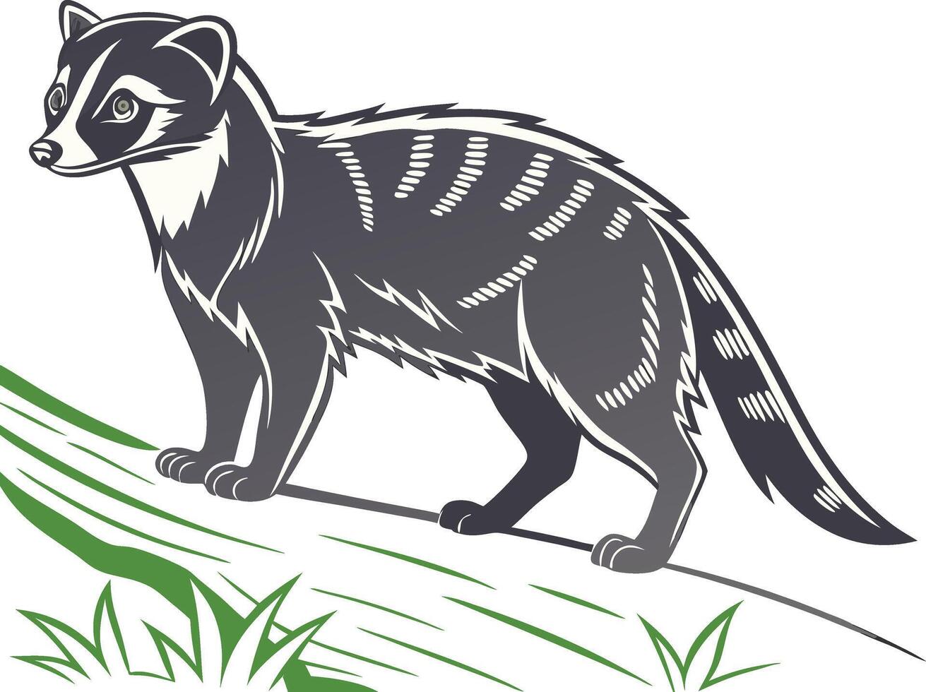 A Illustration of Civet vector