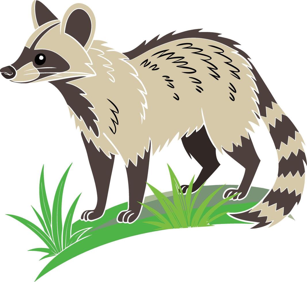 luwak, illustration of a civet, art, isolated on white vector