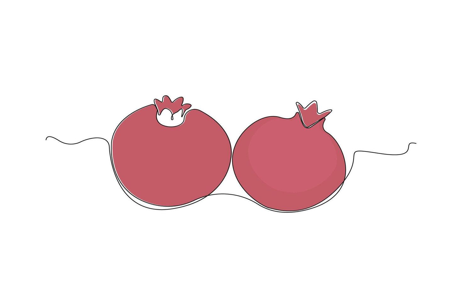 Hand-drawn pomegranate outline in doodle style. Pomegranate fruit one line art drawing. vector