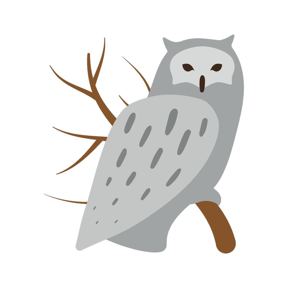 A polar owl sits on a branch. Isolated illustration in clip art style for your design vector