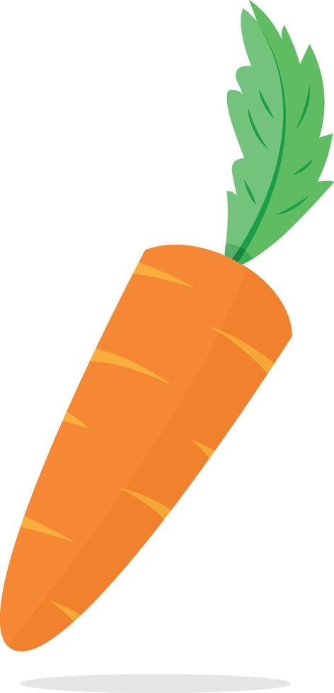 fresh orange carrot clipart. vegetable illustration vector