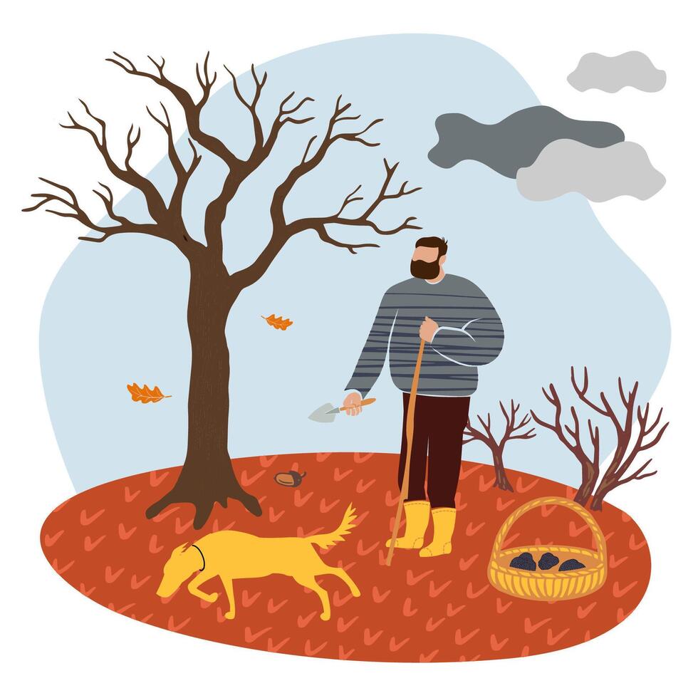 illustration of a truffle hunt with a man and a dog harvesting mushrooms in a basket. for advertising banners, posters, articles and local market decor vector