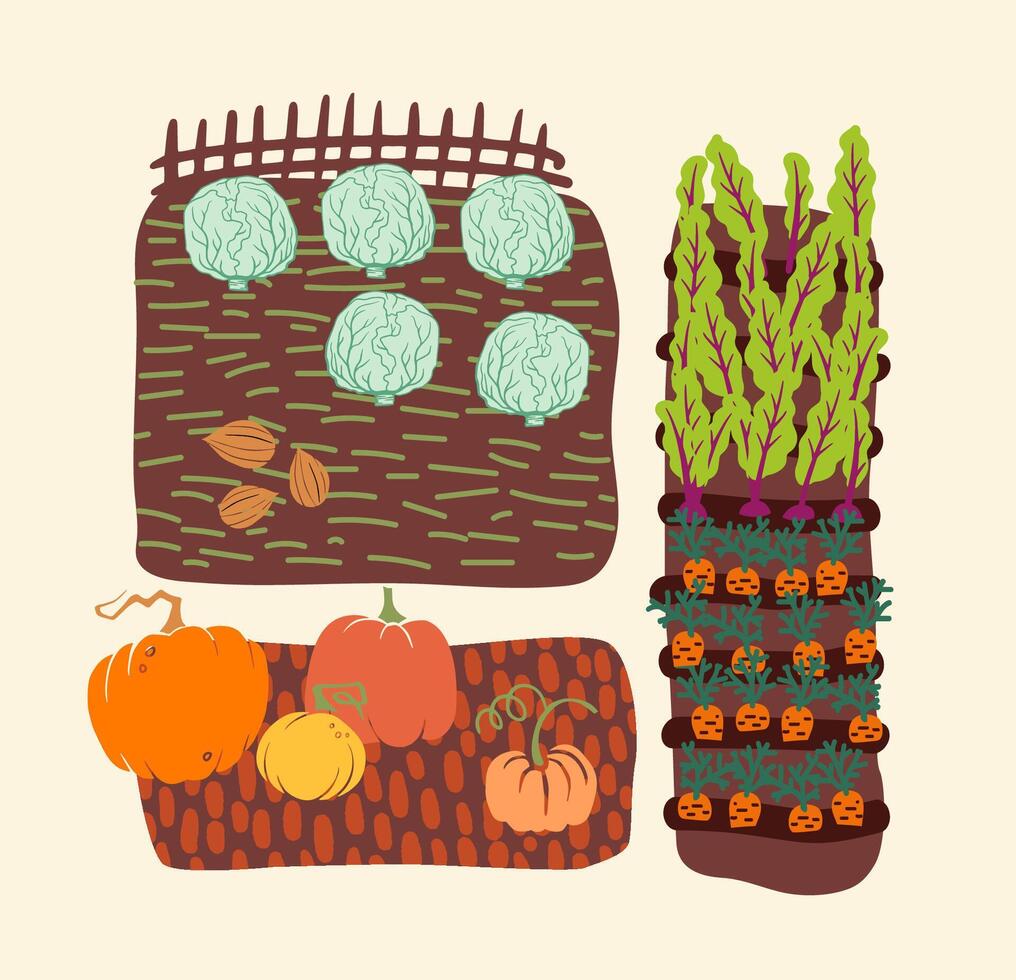 vibrant autumn garden produce, vegetable beds, with cabbages, pumpkins, carrots, leafy greens. for promoting fall harvest, gardening, local market, eco-friendly projects. vector