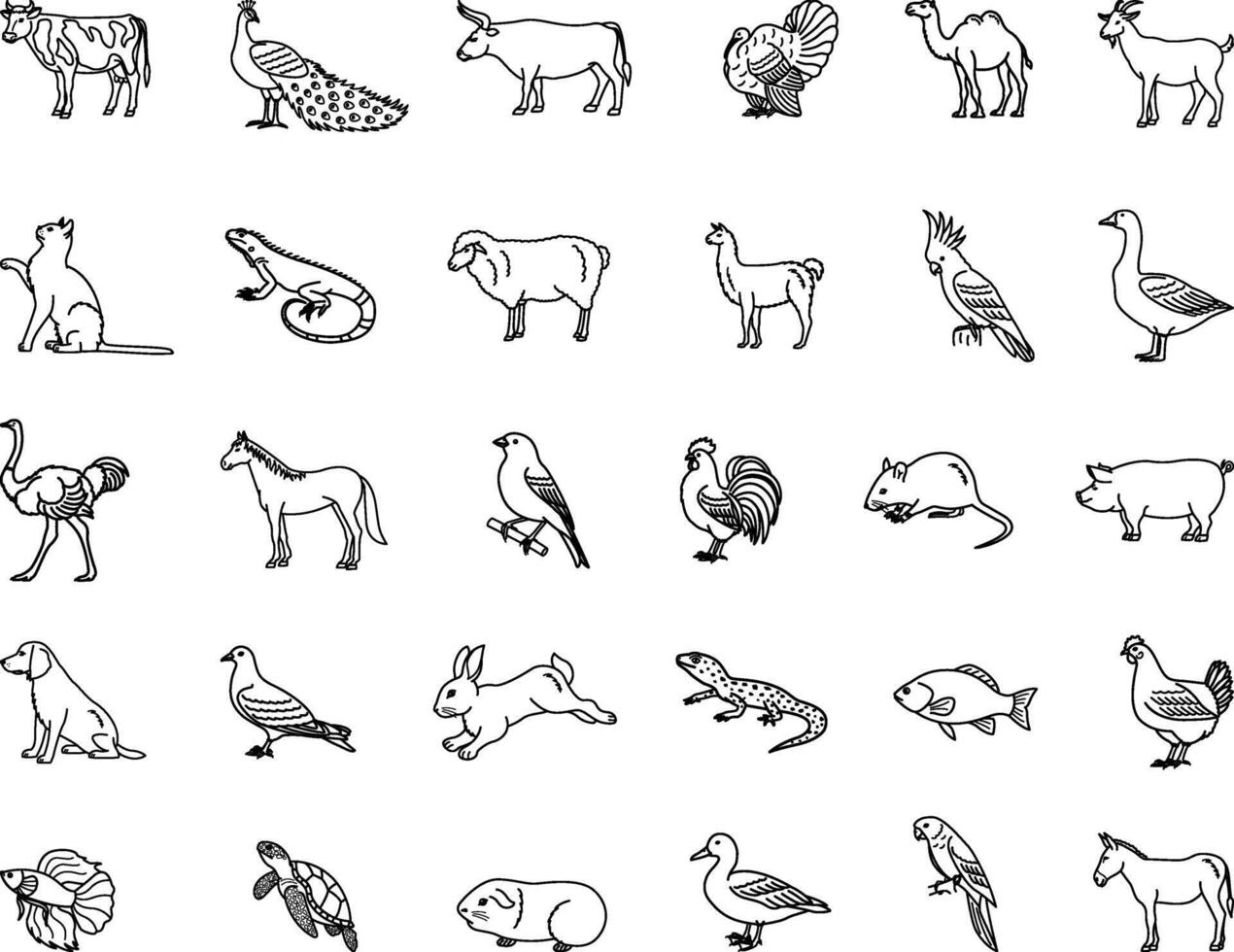 Domestic Animals Icons. Illustrations Cow, Peacock, Bull, Turkey, Camel, Goat, Cat, Iguana, Sheep, Llama, Parrot, Goose, Ostrich, Horse, Rabbit, Mouse, Pig and Others vector
