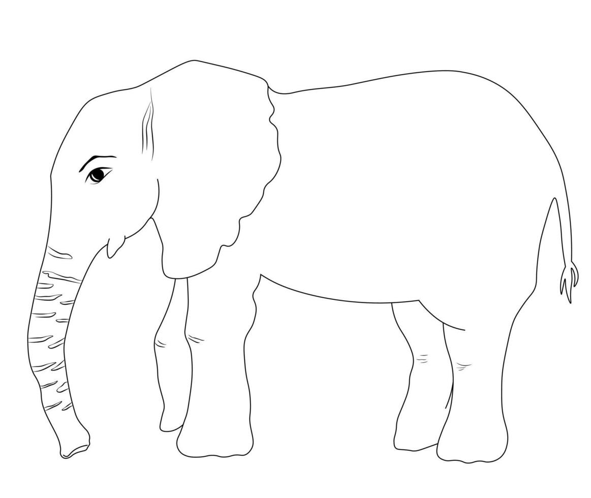 elephant is a large animal at full size. vector