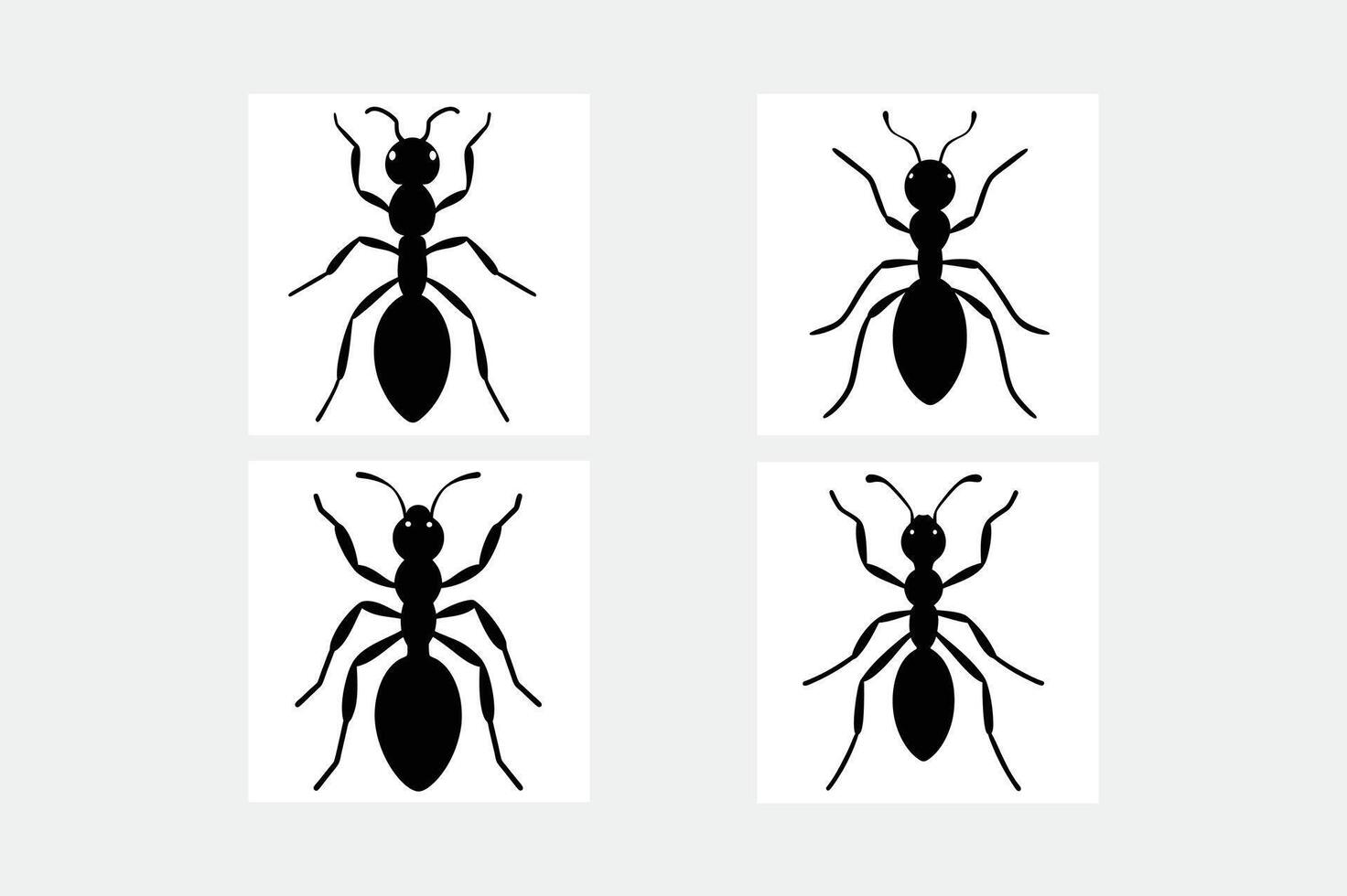 Four black ants on a white background vector