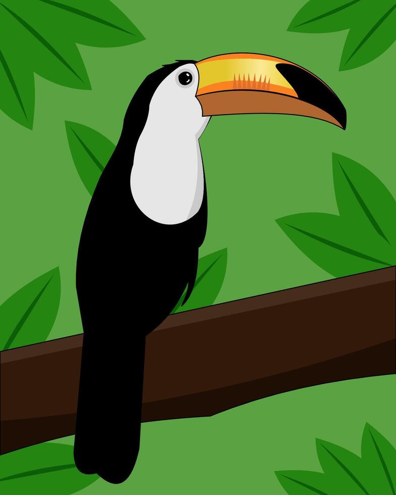 toucan bird illustration vector