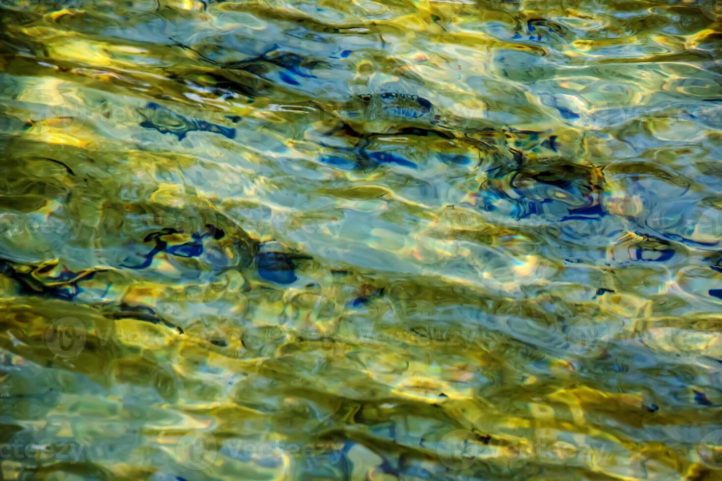 Background of the water of Lake Traunsee in the coastal area. Colorful texture of stones under water photo