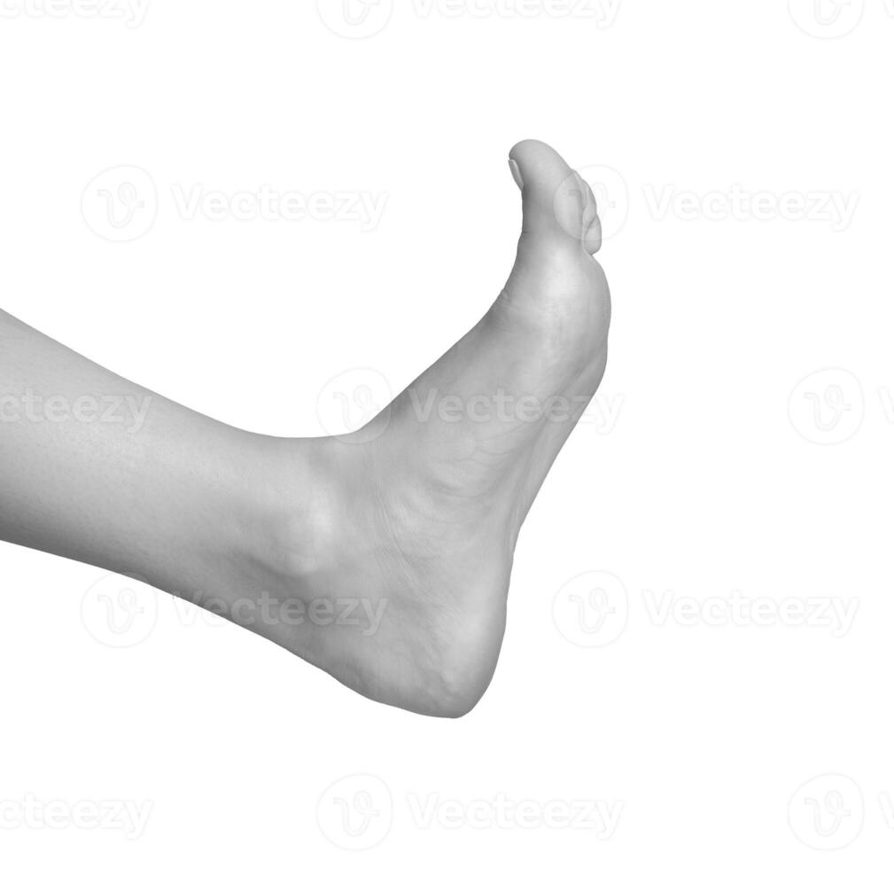 Gray grayscale bare foot, neat and smooth skin. Female anatomy, side profile of clean and soft feet. photo
