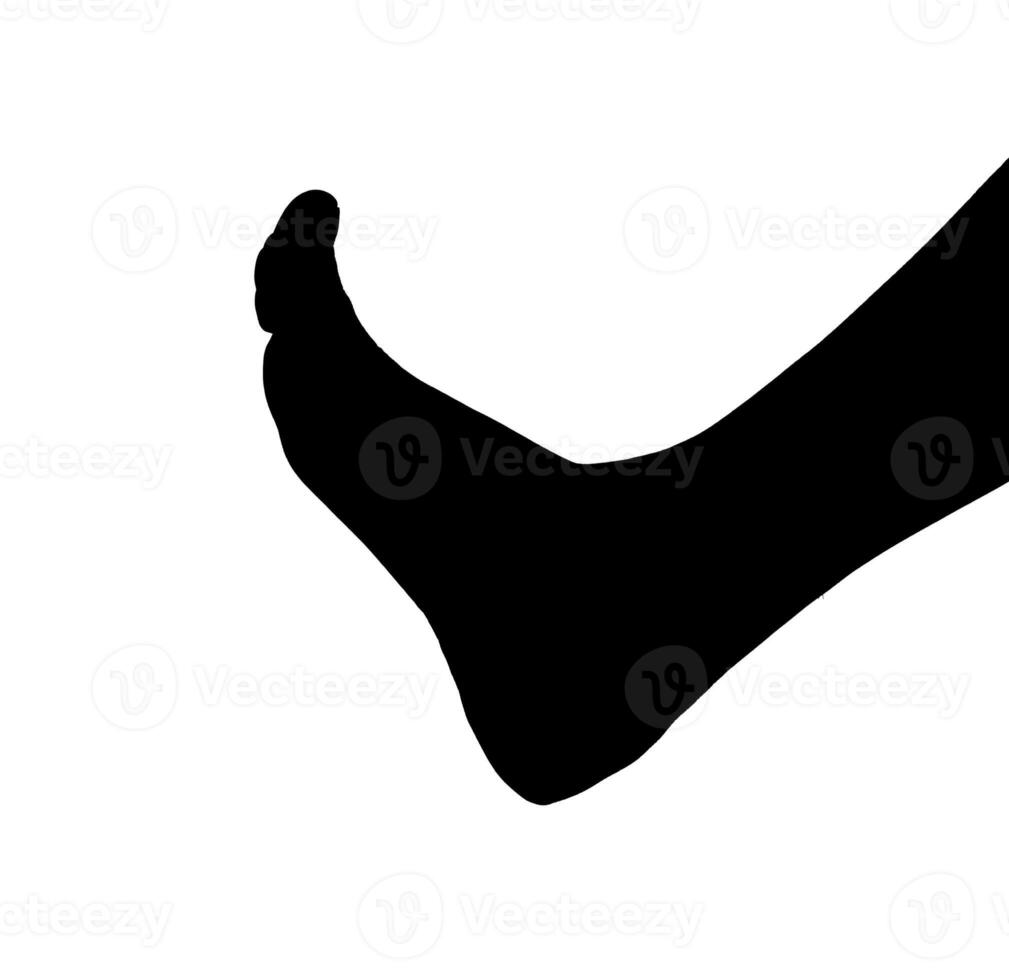 Foot silhouette, barefoot leg in neat stance. Clean, soft skin care model showcasing beauty and photo