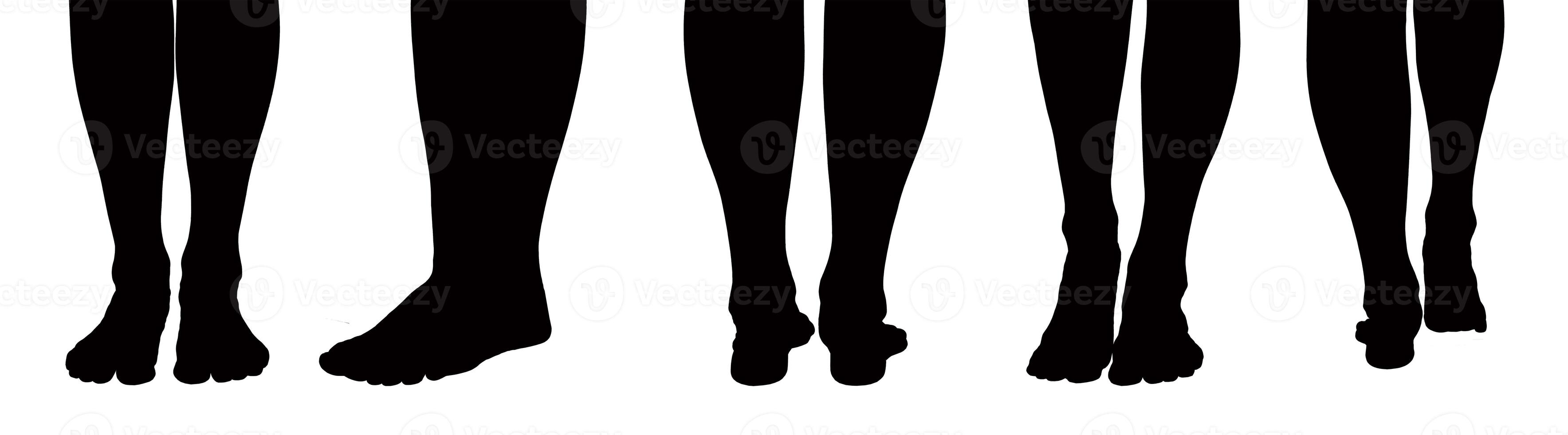 Set of barefoot female feet in various positions, including standing and walking. Silhouette and photo