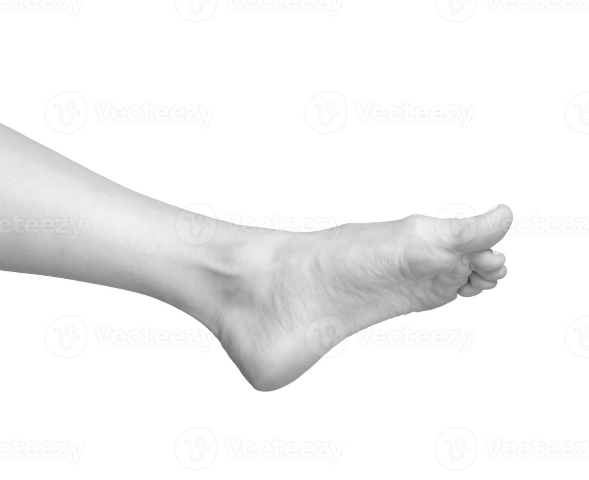 Gray scale image of a barefoot woman model with smooth, soft skin. Feet, toes, and ankle in a neat, photo