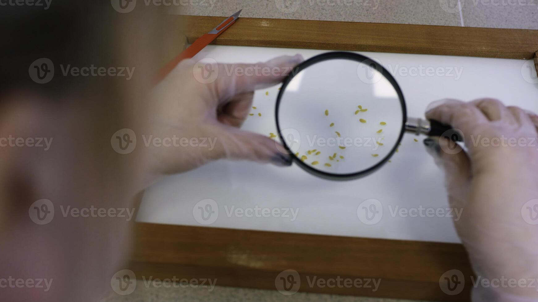 A person examines a paper with a magnifying glass, revealing details photo