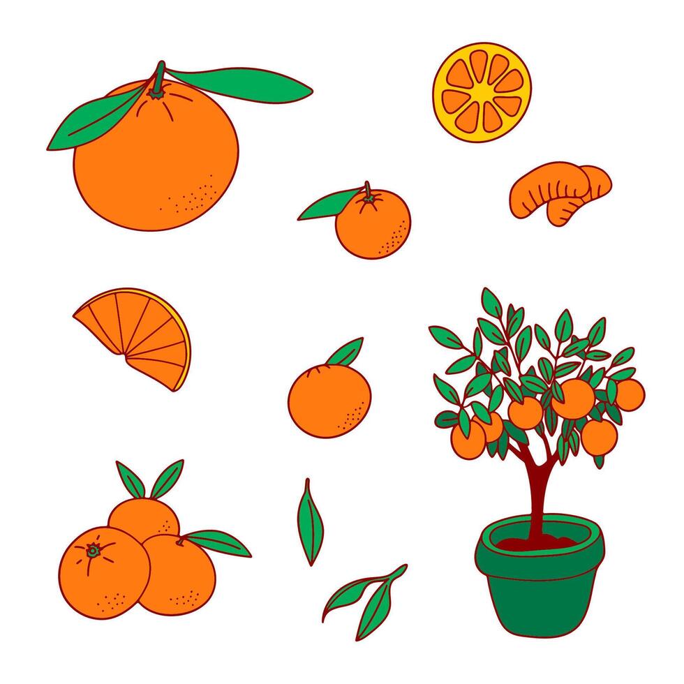 Citrus fruit clipart set. Orange tree, tangerine, clementine, Simple doodle icons, bright colors, white background. Web, digital design, menus, logos, stickers, kitchen decor, packagingleaves. vector