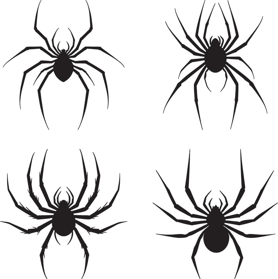 Four black and white spider silhouettes vector
