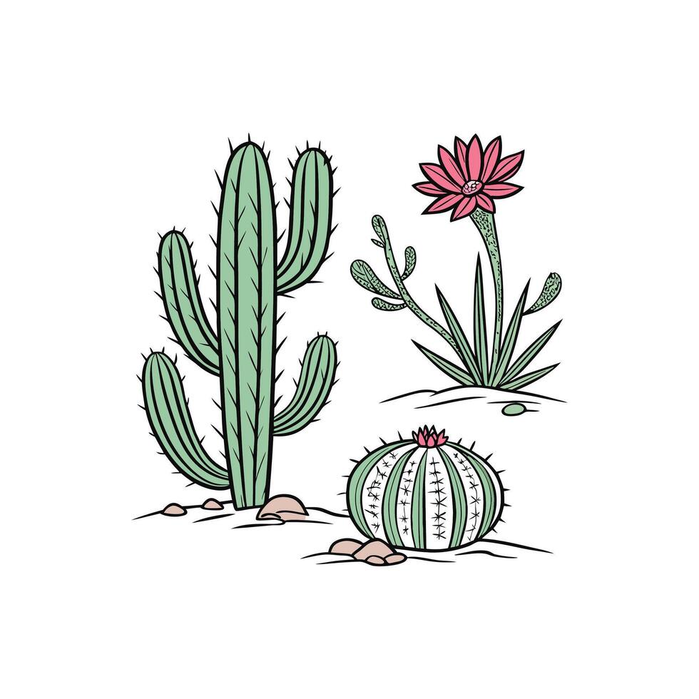 Cactus and flower illustration vector