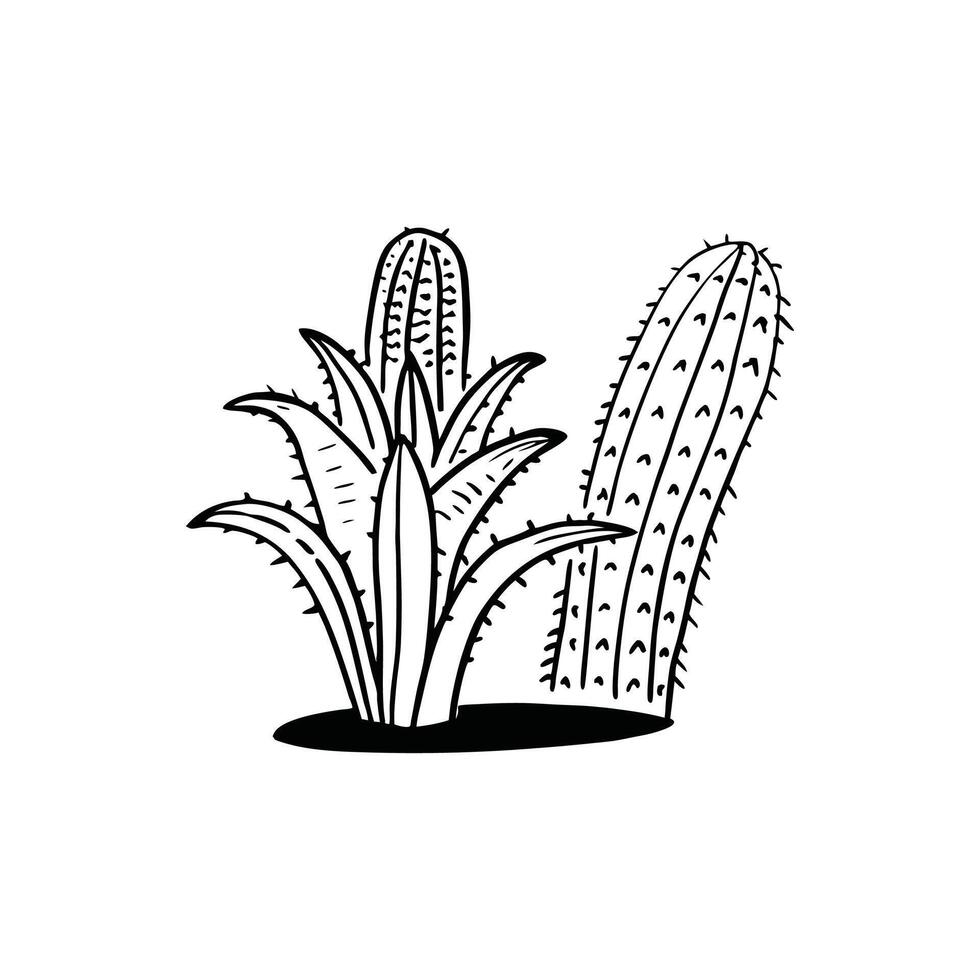 Cactus plant coloring page vector