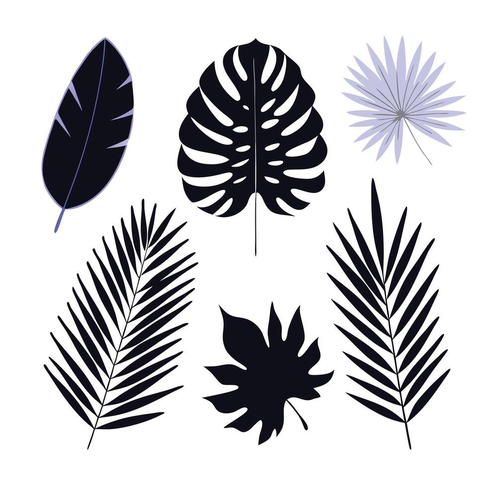A set of black and white tropical leaves vector