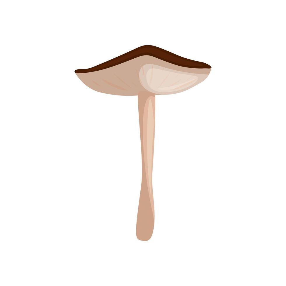 Russula on a white background illustration vector